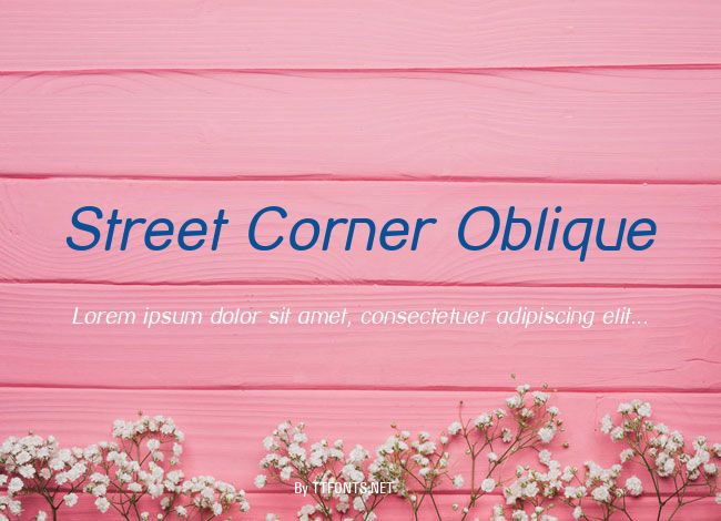 Street Corner Oblique example